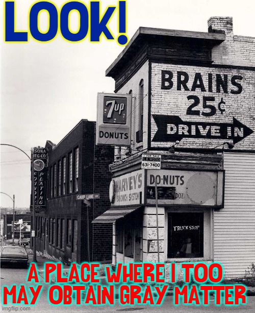 THE WALKING STUPID | LOOK! A PLACE WHERE I TOO MAY OBTAIN GRAY MATTER | image tagged in vince vance,brains,cheap,zombies,memes,the walking dead | made w/ Imgflip meme maker