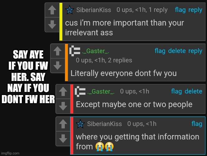 SAY AYE IF YOU FW HER. SAY NAY IF YOU DONT FW HER | made w/ Imgflip meme maker