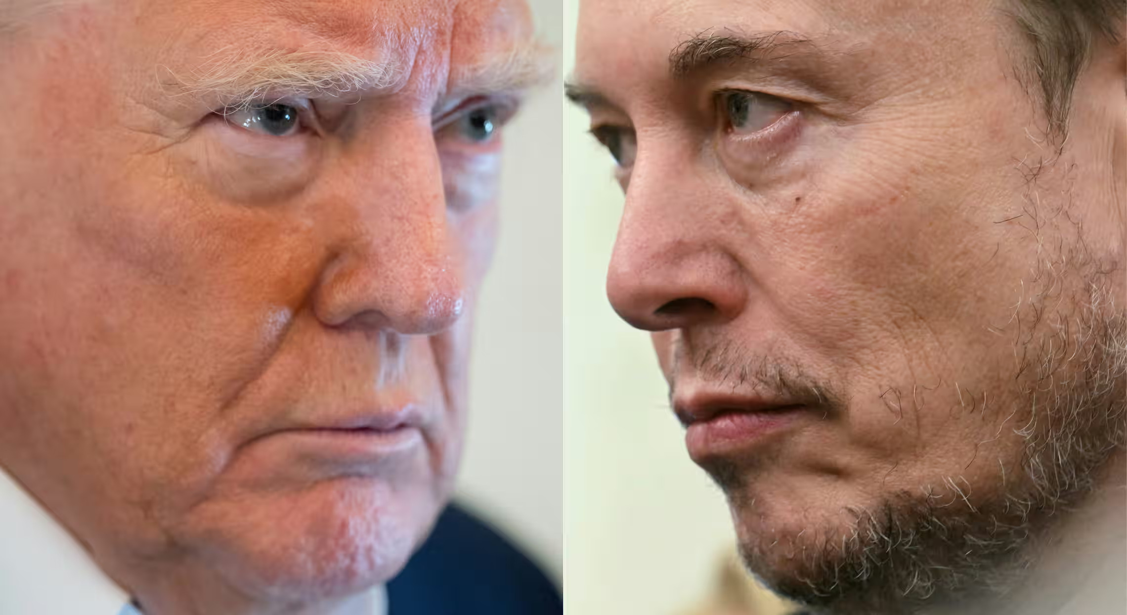 Trump Musk 2 psychos in a dirk-length contest Blank Meme Template