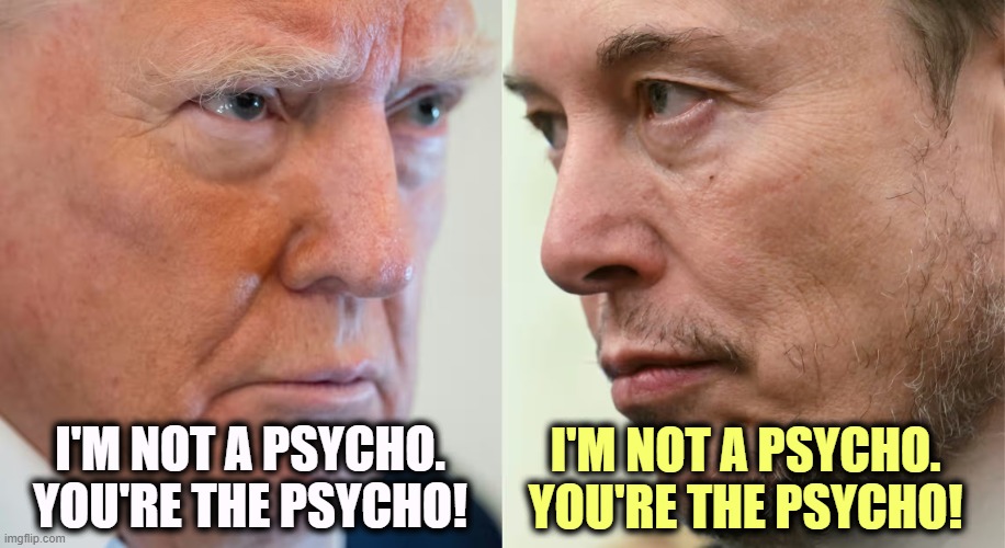 Trump Musk 2 psychos in a dirk-length contest | I'M NOT A PSYCHO. YOU'RE THE PSYCHO! I'M NOT A PSYCHO. YOU'RE THE PSYCHO! | image tagged in trump musk 2 psychos in a dirk-length contest,trump,elon musk,psycho,crazy | made w/ Imgflip meme maker