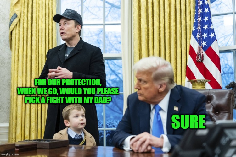 Happens All the Time | FOR OUR PROTECTION, WHEN WE GO, WOULD YOU PLEASE PICK A FIGHT WITH MY DAD? SURE | image tagged in x a-12 in oval office with musk and trump | made w/ Imgflip meme maker
