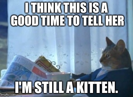I Should Buy A Boat Cat Meme | I THINK THIS IS A GOOD TIME TO TELL HER I'M STILL A KITTEN. | image tagged in memes,i should buy a boat cat | made w/ Imgflip meme maker