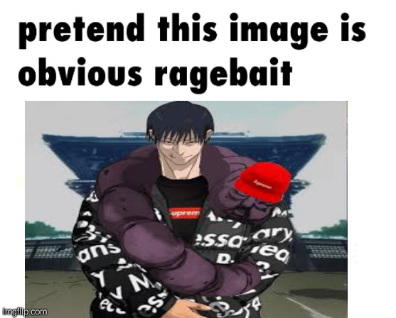 pretend this image is obvious ragebait | made w/ Imgflip meme maker