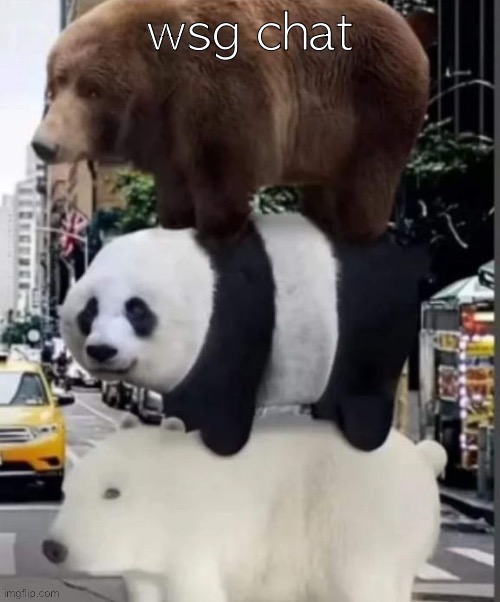 real we bare bears | wsg chat | image tagged in real we bare bears | made w/ Imgflip meme maker