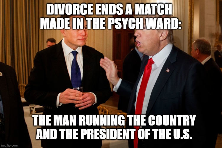 Divorce musk and turmp | DIVORCE ENDS A MATCH 
MADE IN THE PSYCH WARD:; THE MAN RUNNING THE COUNTRY AND THE PRESIDENT OF THE U.S. | image tagged in trump and elon musk | made w/ Imgflip meme maker