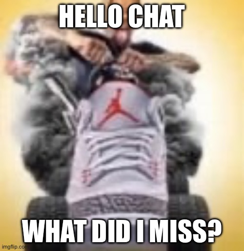 FlightReacts driving a shoe | HELLO CHAT; WHAT DID I MISS? | image tagged in flightreacts driving a shoe | made w/ Imgflip meme maker