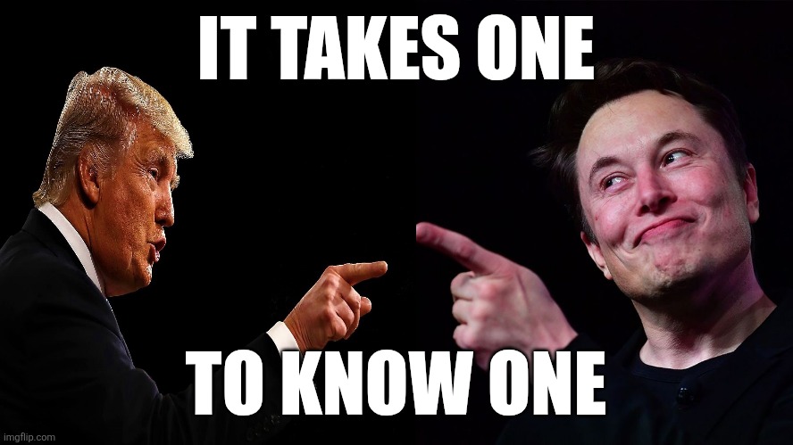 Nuh uhhh | IT TAKES ONE; TO KNOW ONE | image tagged in trump and elon musk point to each other | made w/ Imgflip meme maker