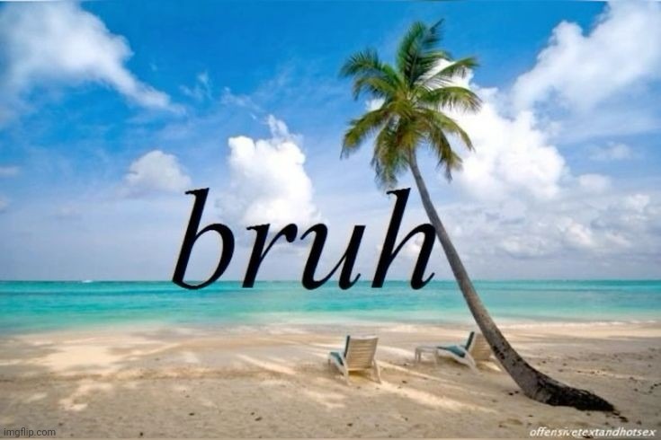 bruh Blank Meme Template