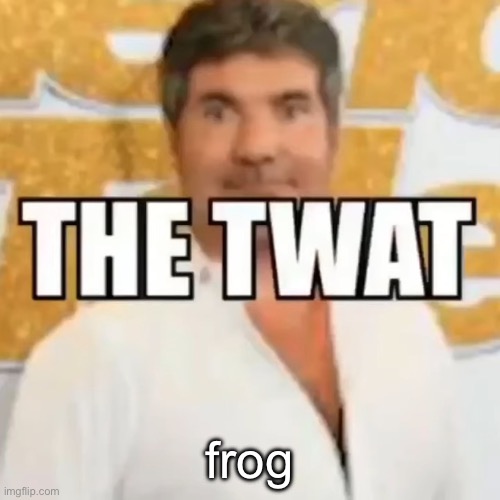 the twat | frog | image tagged in the twat | made w/ Imgflip meme maker