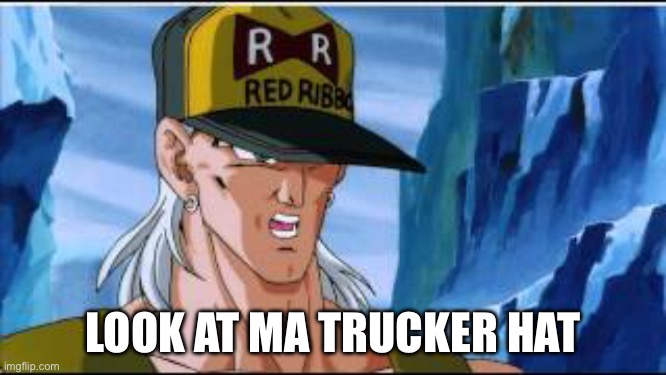 Dragon Ball Z Android 13 | LOOK AT MA TRUCKER HAT | image tagged in dragon ball z android 13 | made w/ Imgflip meme maker