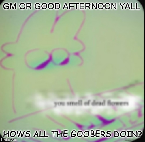 hallooo :3 | GM OR GOOD AFTERNOON YALL; HOWS ALL THE GOOBERS DOIN? | image tagged in alt ig | made w/ Imgflip meme maker