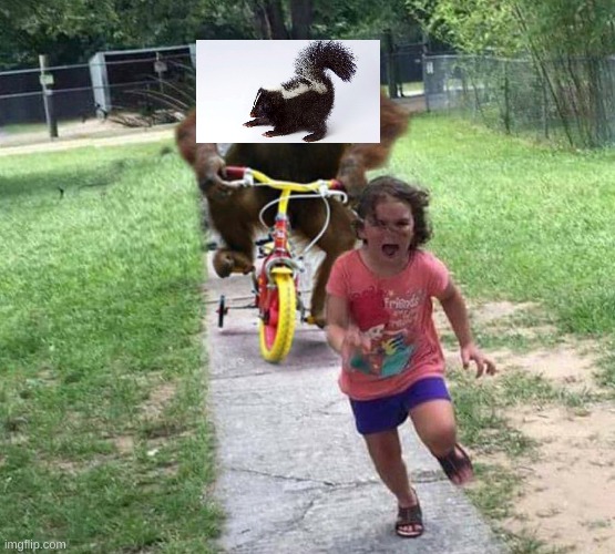 Run! | image tagged in run | made w/ Imgflip meme maker