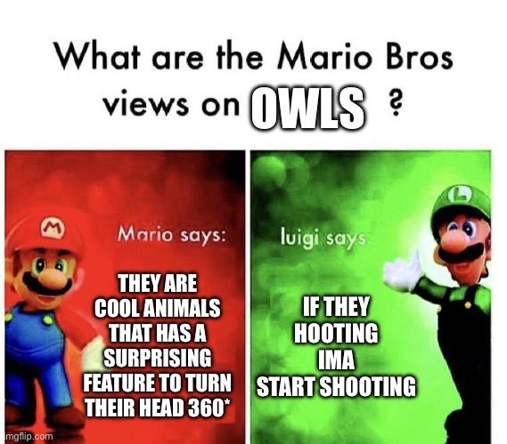 Owls Mario and Luigi | OWLS; THEY ARE COOL ANIMALS THAT HAS A SURPRISING FEATURE TO TURN THEIR HEAD 360*; IF THEY HOOTING IMA START SHOOTING | image tagged in mario bros views | made w/ Imgflip meme maker
