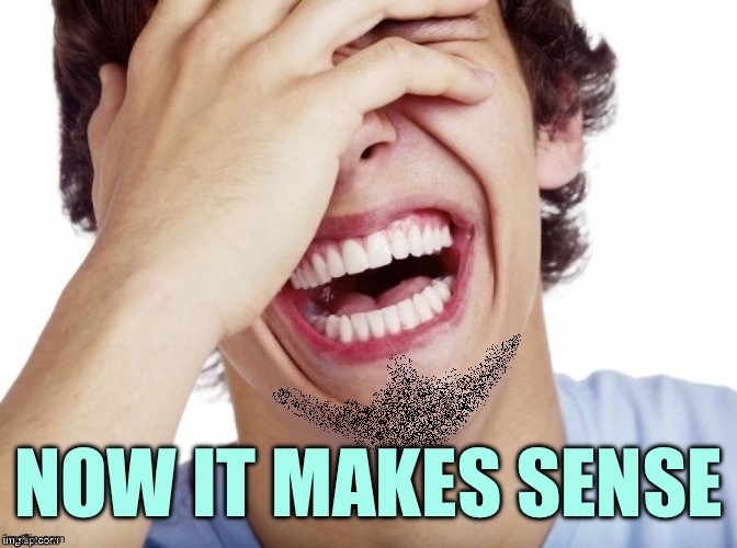 lol | NOW IT MAKES SENSE | image tagged in lol | made w/ Imgflip meme maker