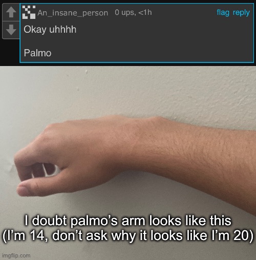 Bet someone gonna say “why you posting your arm” | I doubt palmo’s arm looks like this (I’m 14, don’t ask why it looks like I’m 20) | image tagged in msmg | made w/ Imgflip meme maker