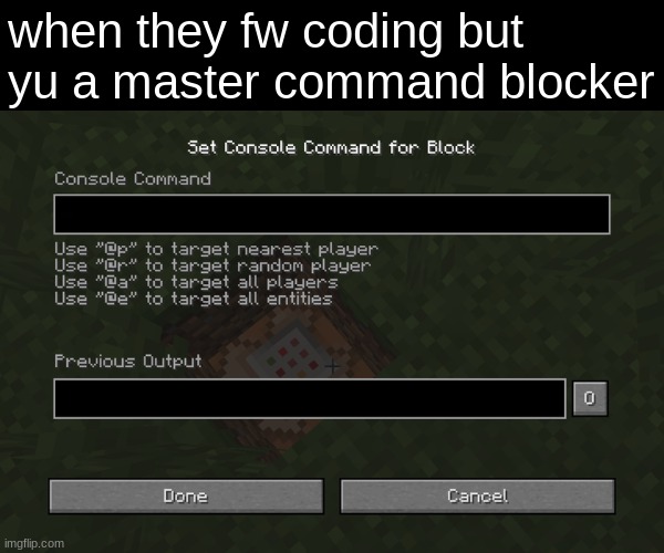 Minecraft Command | when they fw coding but yu a master command blocker | image tagged in minecraft command | made w/ Imgflip meme maker