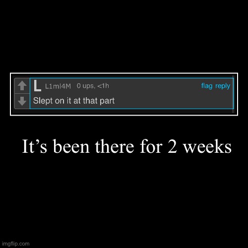 It’s been there for 2 weeks | | image tagged in demotivationals | made w/ Imgflip demotivational maker