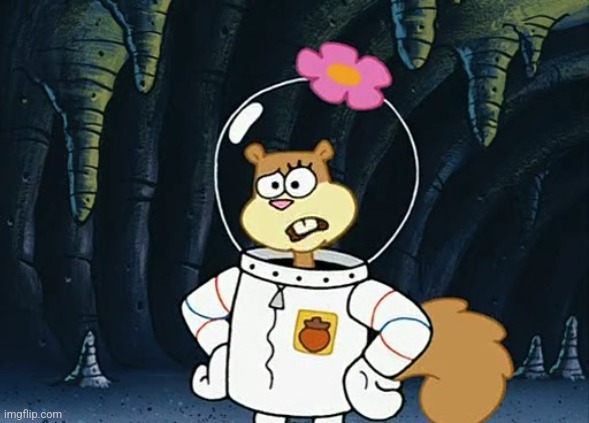 My Honest Reaction To Most Of The Bullshit I See On This Site Or Social Media In General | image tagged in spongebob,spongebob squarepants,sandy cheeks,memes,reaction,smh | made w/ Imgflip meme maker