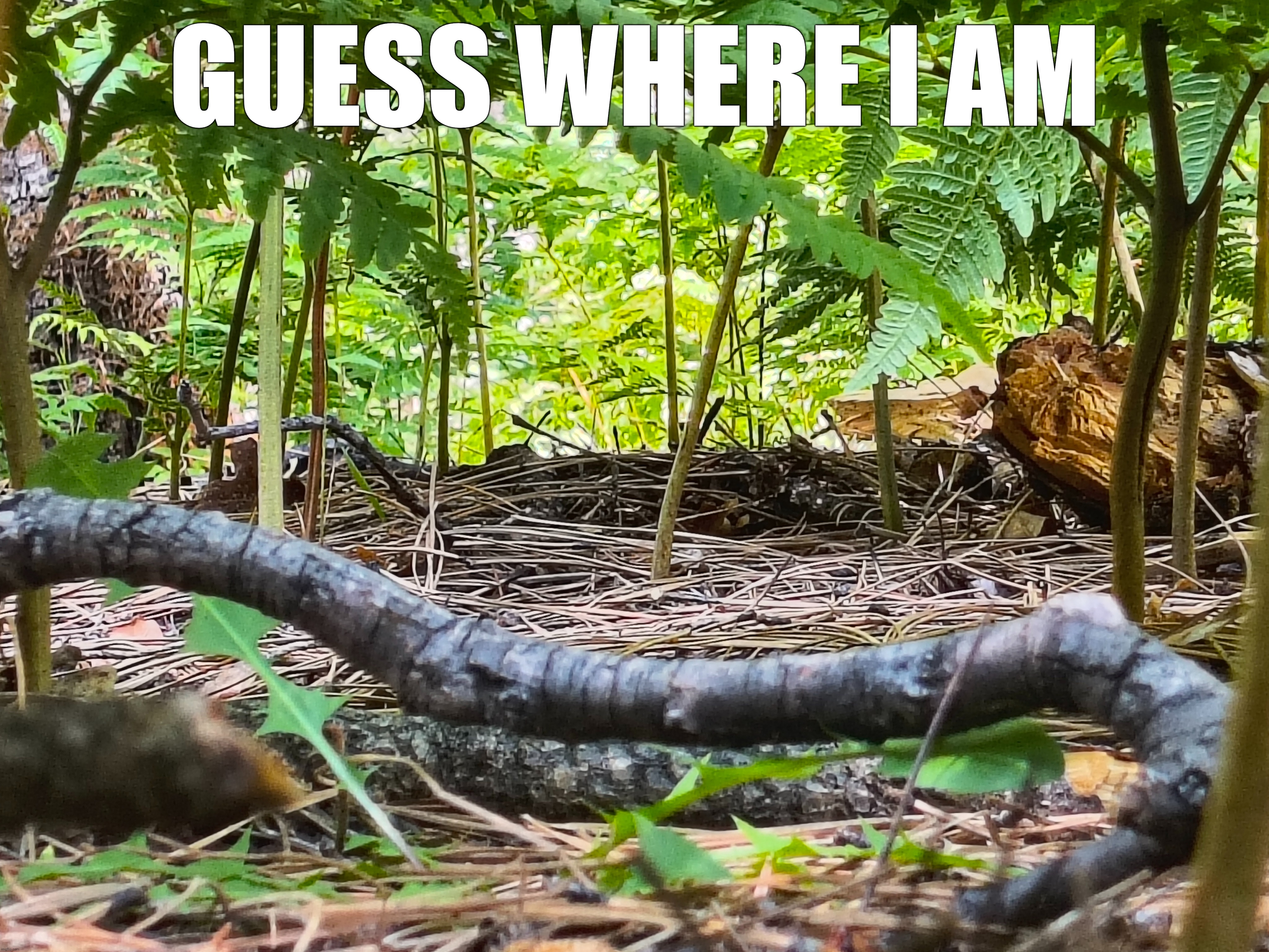 Hi again, hope you're doing well | GUESS WHERE I AM | made w/ Imgflip meme maker