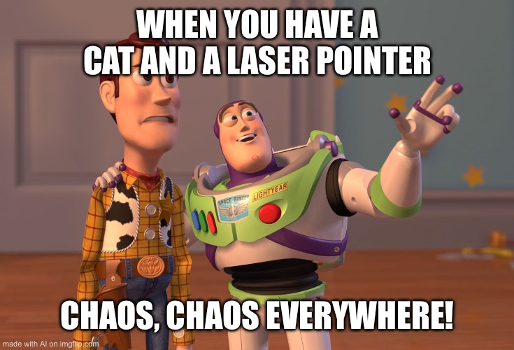 Cat + laser = CHAOS | WHEN YOU HAVE A CAT AND A LASER POINTER; CHAOS, CHAOS EVERYWHERE! | image tagged in memes,x x everywhere | made w/ Imgflip meme maker