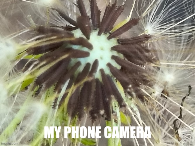 MY PHONE CAMERA | made w/ Imgflip meme maker