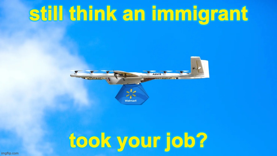 the enemy was never minorities: it was always the megacorporations | still think an immigrant; took your job? | image tagged in immigrants,walmart,corporations,profits,capitalism | made w/ Imgflip meme maker