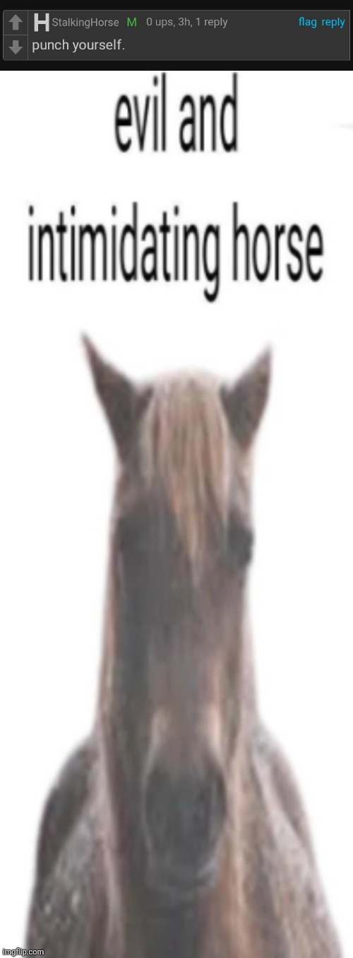 image tagged in andrewfinlayson punch yourself,evil and intimidating horse | made w/ Imgflip meme maker