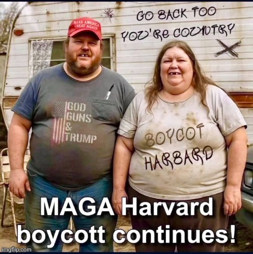 Harvard | image tagged in harvard,red-states | made w/ Imgflip meme maker