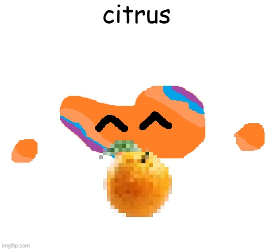 citrus | citrus | image tagged in sand the topic | made w/ Imgflip meme maker