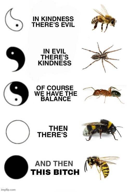 the insects | image tagged in which one are you ying and yang | made w/ Imgflip meme maker