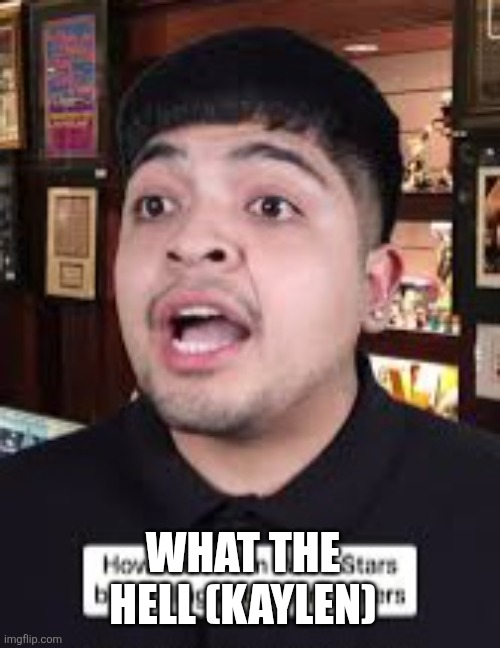 What the hell | WHAT THE HELL (KAYLEN) | image tagged in what | made w/ Imgflip meme maker