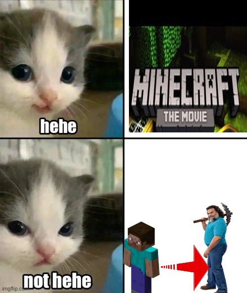 My honest reactoin to Minecraft movie | image tagged in cute cat hehe and not hehe | made w/ Imgflip meme maker