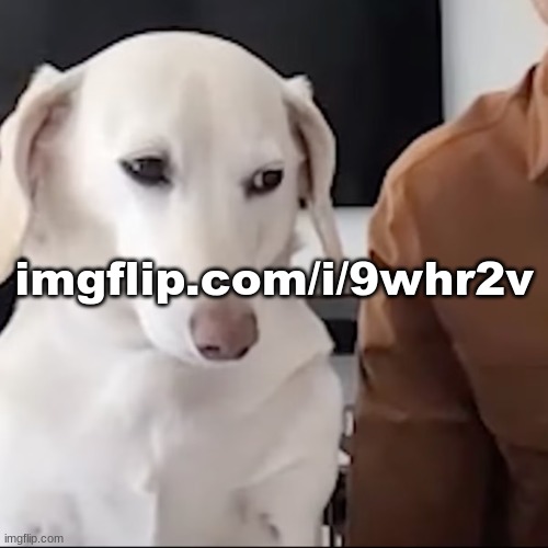 uh | imgflip.com/i/9whr2v | image tagged in uh | made w/ Imgflip meme maker