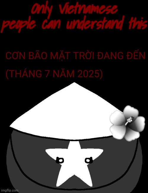 Vietnamese ppl can understand this | Only Vietnamese people can understand this | image tagged in countryballs,vietnam,facts,memes,funny memes,fun | made w/ Imgflip meme maker