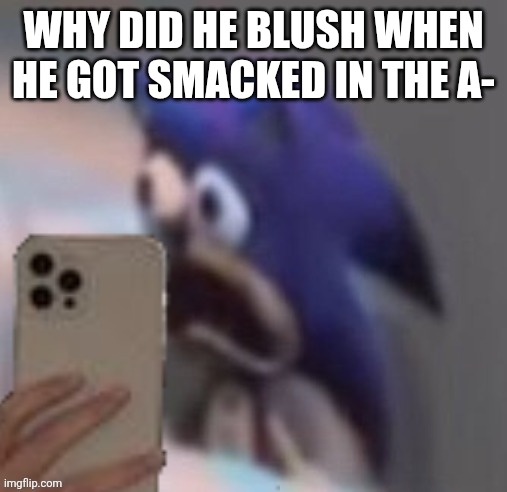 Sonic traumatized | WHY DID HE BLUSH WHEN HE GOT SMACKED IN THE A- | image tagged in sonic traumatized | made w/ Imgflip meme maker
