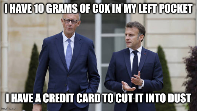 Micron & Mertz | I HAVE 10 GRAMS OF COX IN MY LEFT POCKET; I HAVE A CREDIT CARD TO CUT IT INTO DUST | image tagged in micron mertz,macron | made w/ Imgflip meme maker