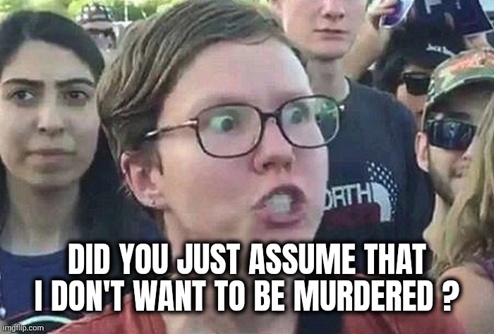 Triggered Liberal | DID YOU JUST ASSUME THAT I DON'T WANT TO BE MURDERED ? | image tagged in triggered liberal | made w/ Imgflip meme maker