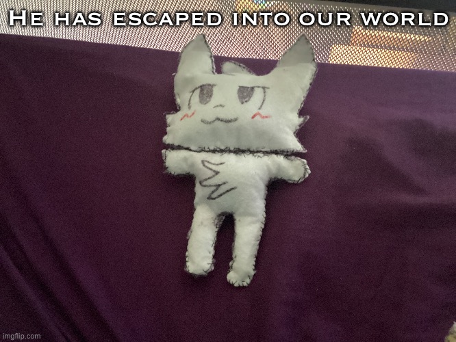 Boykisser is real | He has escaped into our world | made w/ Imgflip meme maker