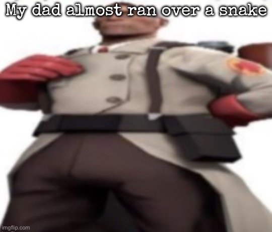 Ze medic | My dad almost ran over a snake | image tagged in ze medic,msmg | made w/ Imgflip meme maker