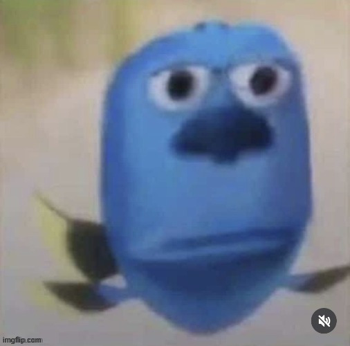 hi chat | image tagged in fiscahiceahich | made w/ Imgflip meme maker