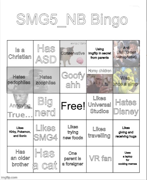 Instead of answering any of them, I just added images. | image tagged in smg5_nb bingo | made w/ Imgflip meme maker