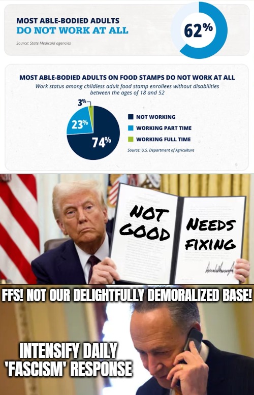 I once heard about a study that said that being on welfare is stressful in its own way | NOT GOOD; Needs fixing; FFS! NOT OUR DELIGHTFULLY DEMORALIZED BASE! INTENSIFY DAILY 'FASCISM' RESPONSE | image tagged in democrats,donald trump,american politics,welfare | made w/ Imgflip meme maker