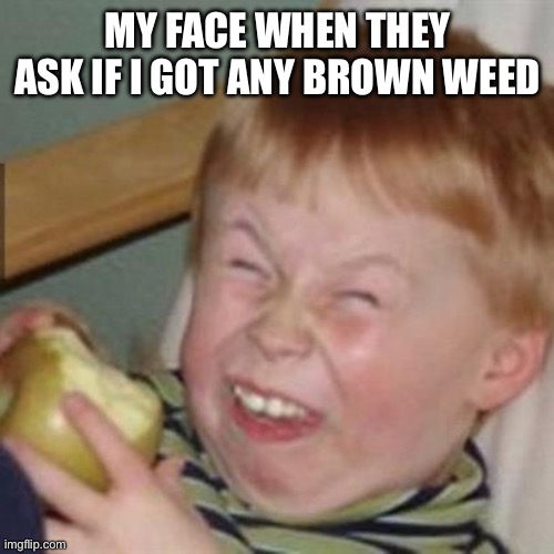 laughing kid | MY FACE WHEN THEY ASK IF I GOT ANY BROWN WEED | image tagged in laughing kid | made w/ Imgflip meme maker
