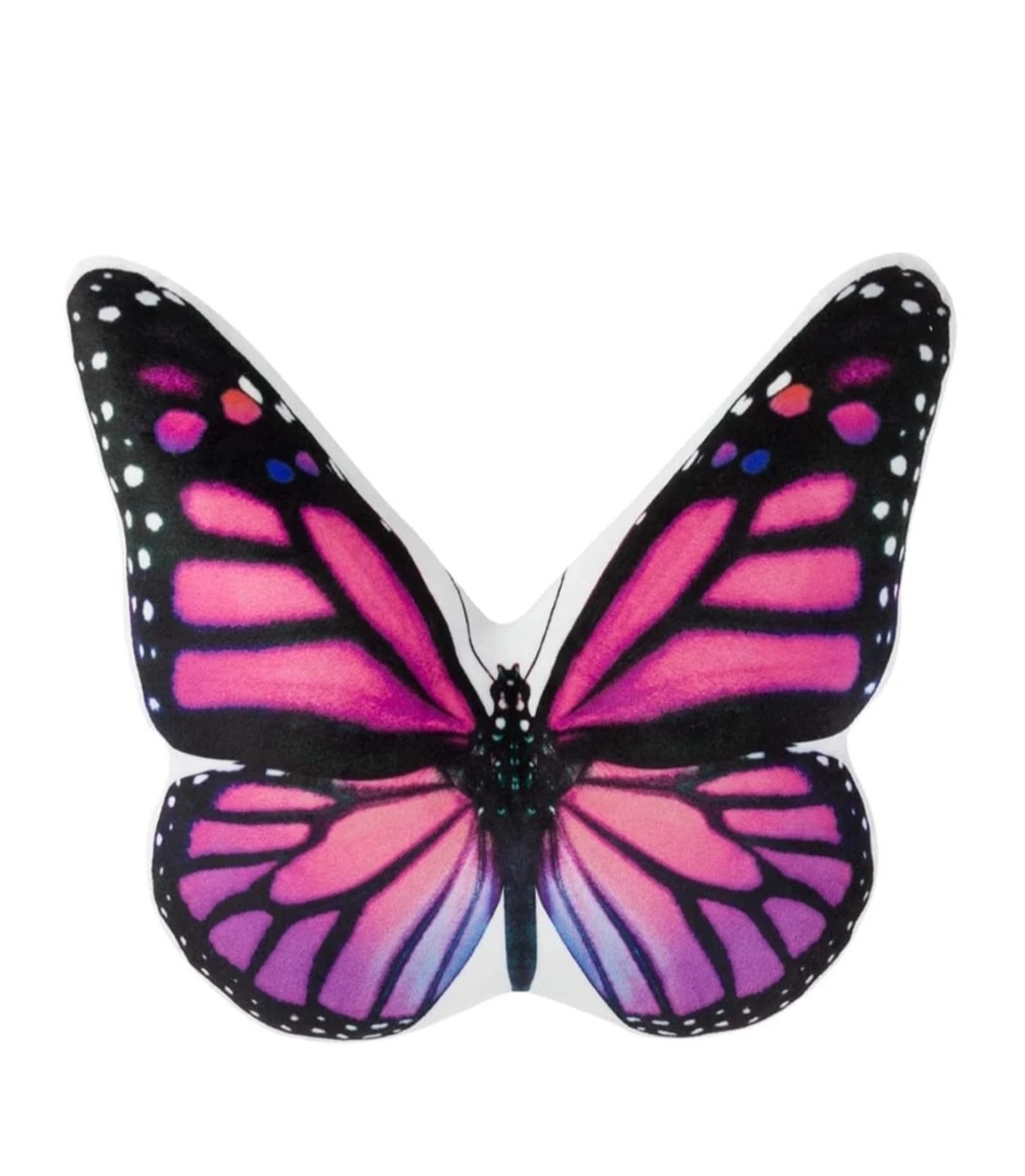 Butterfly Blank Meme Template