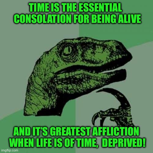 Philosoraptor | TIME IS THE ESSENTIAL   CONSOLATION FOR BEING ALIVE; AND IT’S GREATEST AFFLICTION  WHEN LIFE IS OF TIME,  DEPRIVED! | image tagged in memes,philosoraptor | made w/ Imgflip meme maker