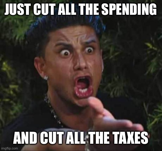 JUST CUT ALL THE SPENDING AND CUT ALL THE TAXES | image tagged in jersey shore | made w/ Imgflip meme maker