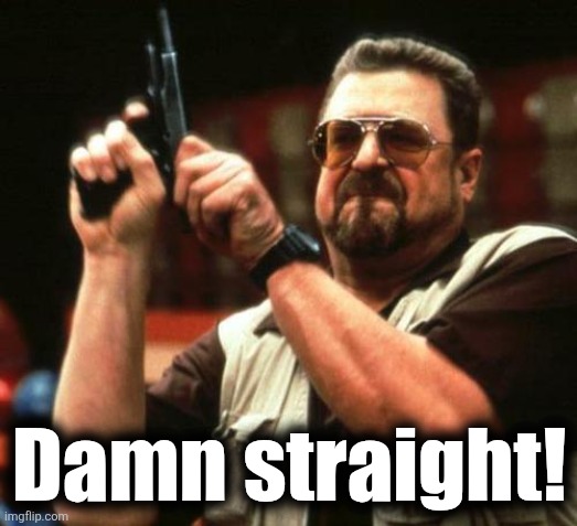 gun | Damn straight! | image tagged in gun | made w/ Imgflip meme maker