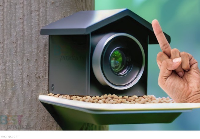Bird Feeder Cameras | image tagged in change my mind | made w/ Imgflip meme maker