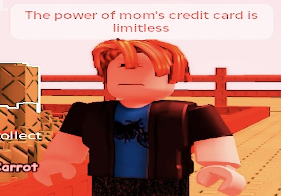 the power of mom’s credit card is limitless Blank Meme Template