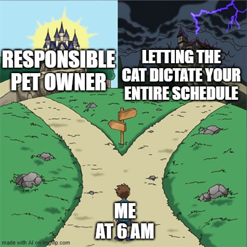Who found the pet owner? | RESPONSIBLE PET OWNER; LETTING THE CAT DICTATE YOUR ENTIRE SCHEDULE; ME AT 6 AM | image tagged in two paths,memes,funny | made w/ Imgflip meme maker